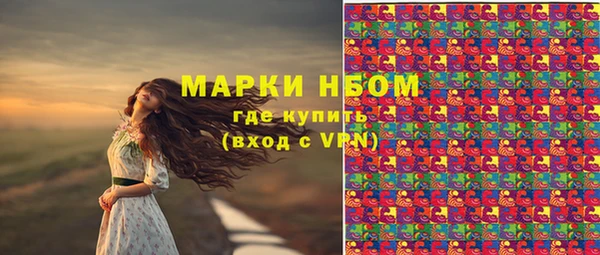 apvp Карпинск