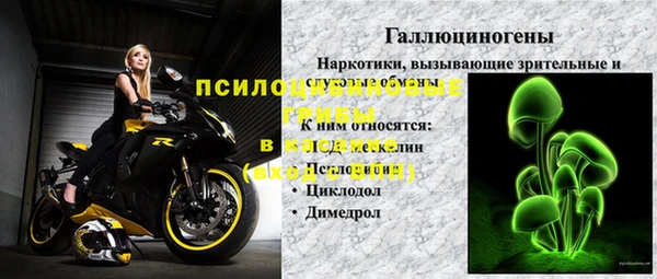 гашик Алзамай