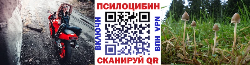 Галлюциногенные грибы мухоморы  наркотики  Королёв 